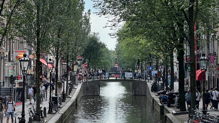 حي دي واِلن التاريخي