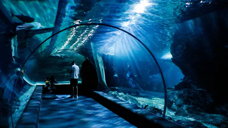 Dubai Aquarium & Underwater Zoo