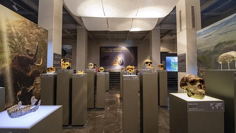 Georgian National Museum